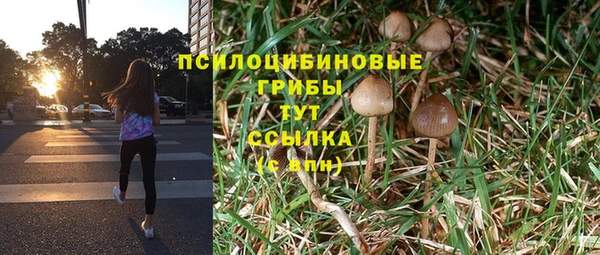 экстази Абинск